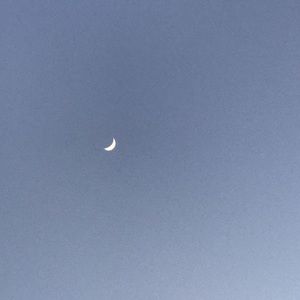 Meet your Posher, Kylie